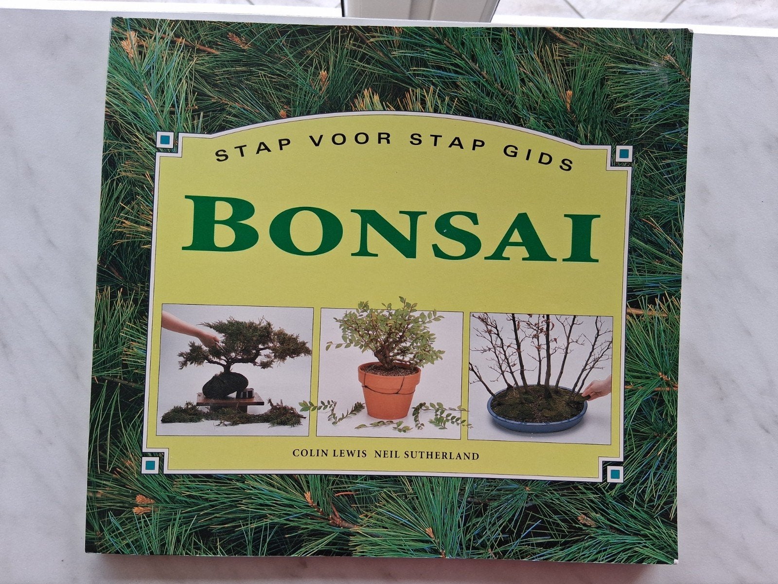 STAP VOOR STAP GIDS ƁONSAI door Colin Lewis  Neil Sutherland, Bloemen, Planten en Bomen, Nieuw, Ophalen of Verzenden, Colin Lewis