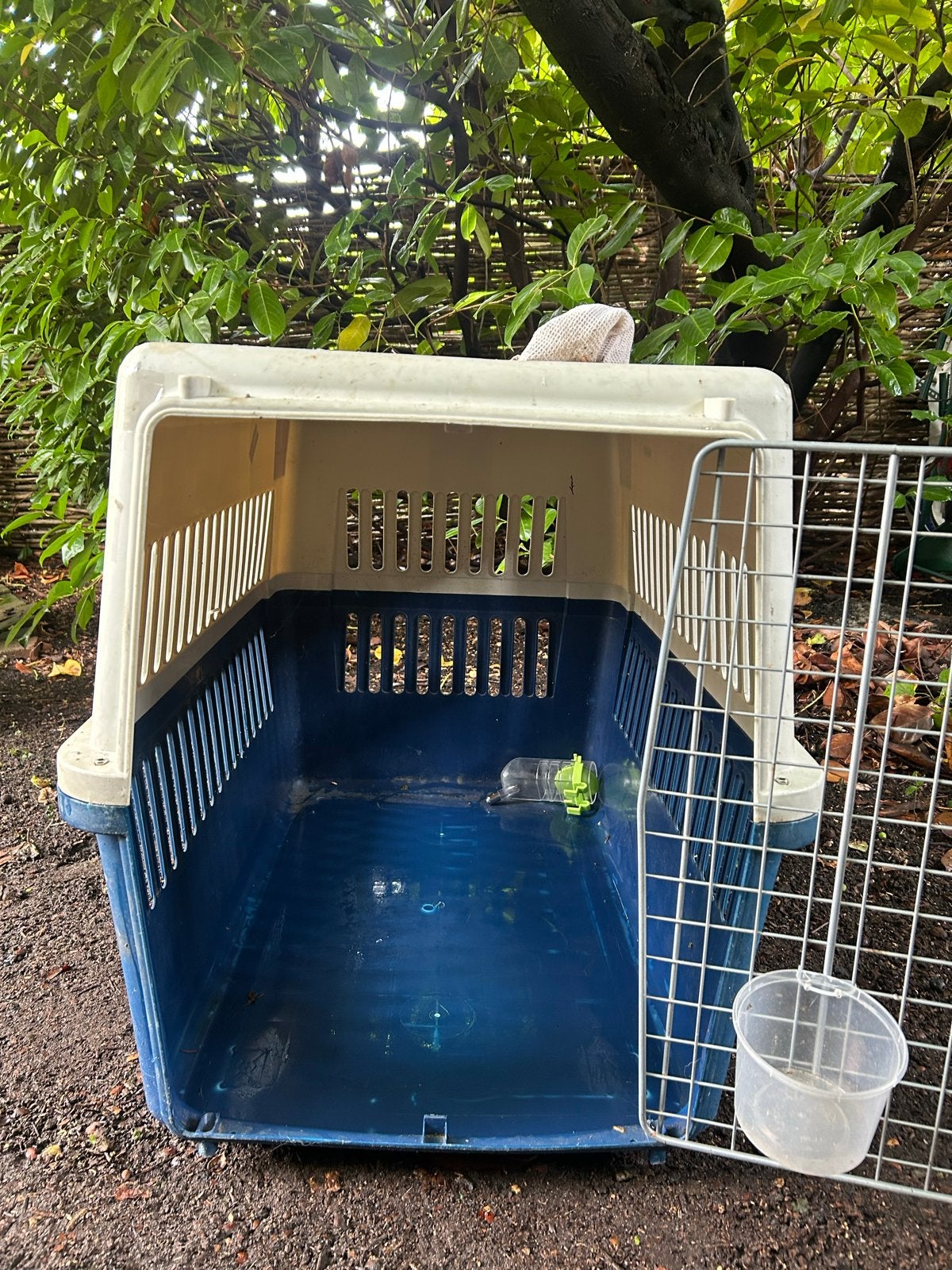 Gratis af te halen: Transportbox voor middelgrote honden, Ophalen