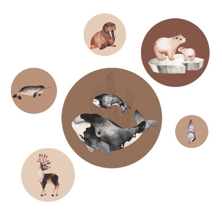 Muursticker Dieren Noordpool Artic Bruin Dutch sprinkles, Info@dutchsprinkles.nl, Ophalen of Verzenden, Dutch Sprinkles, Overige typen
