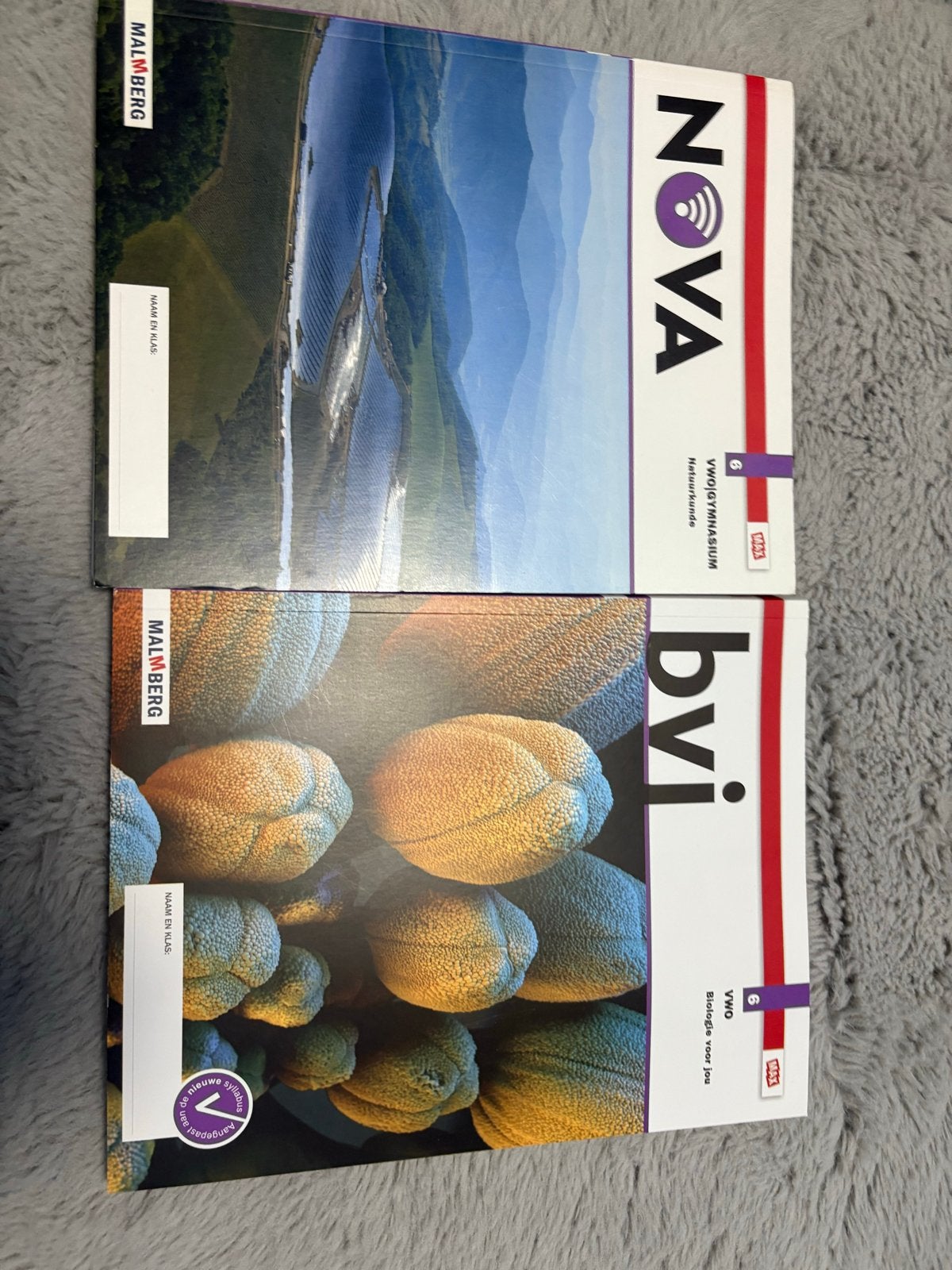 Natuurkunde en Biologie VWO 6 Malmberg NOVA BVI, Boeken, Ophalen of Verzenden, Zo goed als nieuw, VWO, Natuurkunde