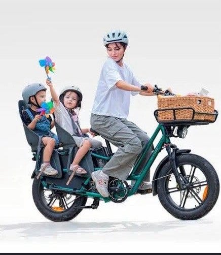 Fiido cargo bike - 1.5 jaar oud, goed onderhouden, Fietsen en Brommers, Overige merken, Goederen, Elektrisch, Ophalen of Verzenden