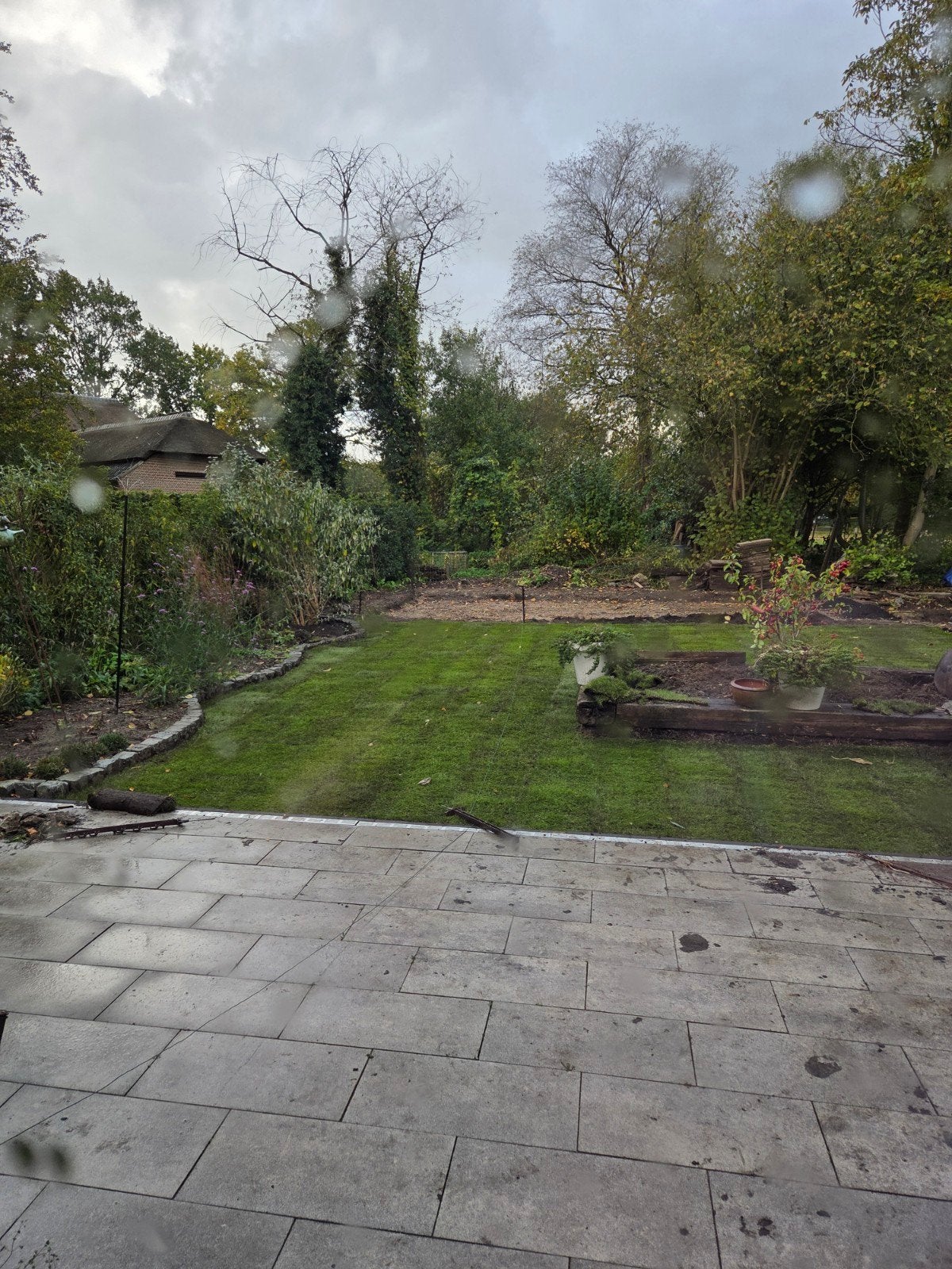 graszoden, Ophalen, Nieuw, 10 tot 20 m²