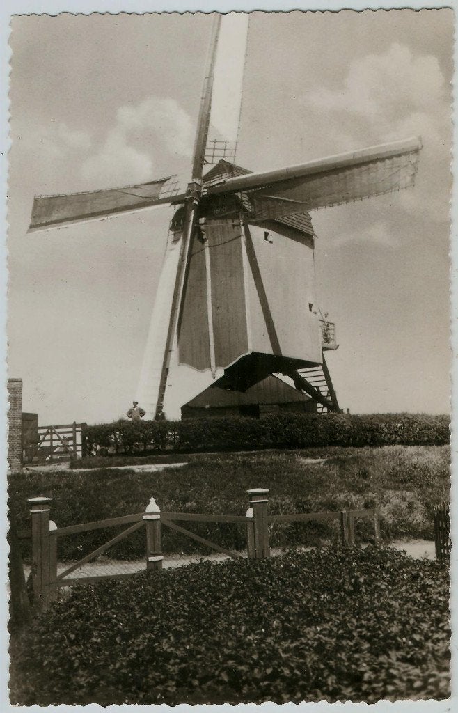 St. Annaland molen van Kodde 1956, Ophalen of Verzenden, 1940 tot 1960, Ongelopen, Zeeland
