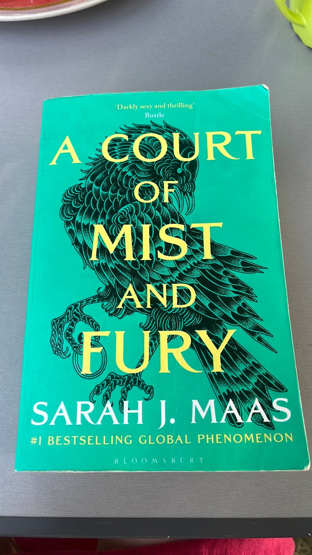 A Court of Mist and Fury (ACOTAR Serie) Engelstalig, Boeken, Ophalen, Gelezen