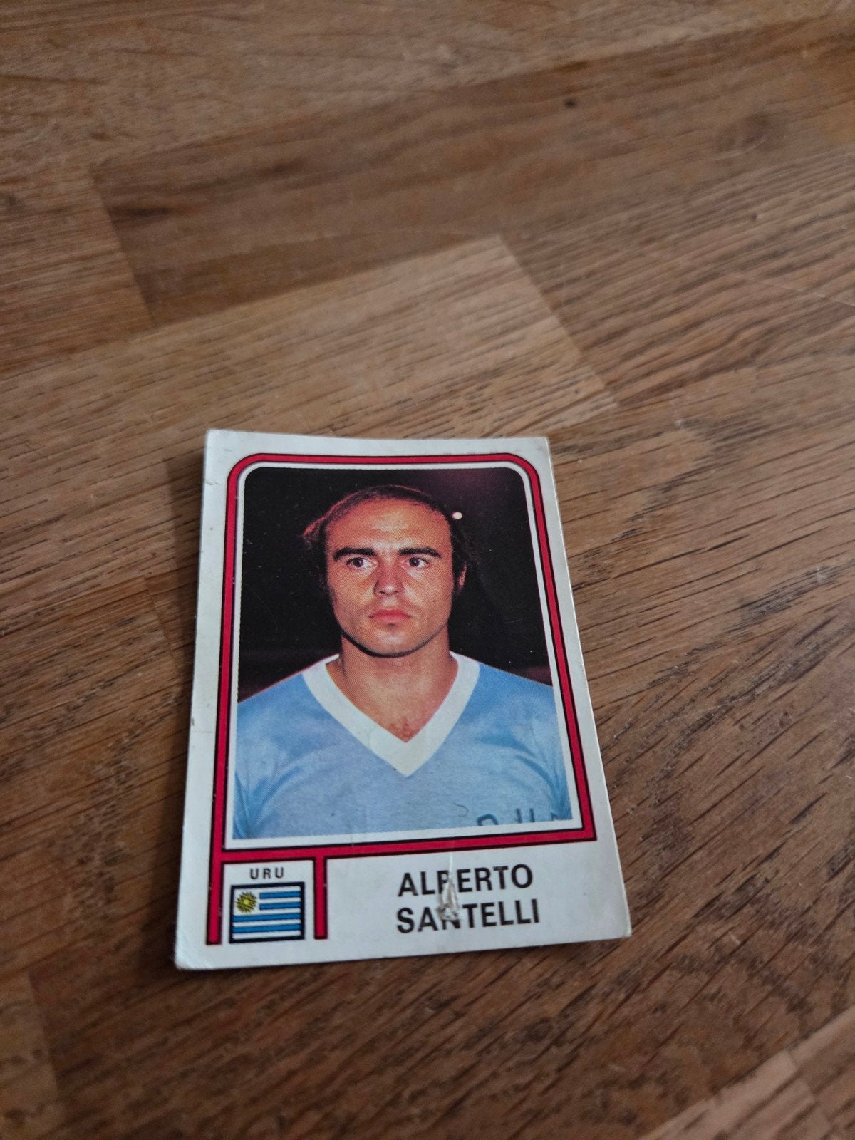 Panini WK 78, Ophalen of Verzenden, Zo goed als nieuw, Buitenlandse clubs, Poster, Plaatje of Sticker