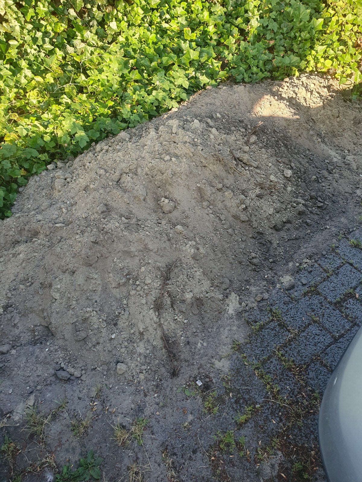 Gratis zand, Tuin en Terras, Ophalen of Verzenden, Ophoogzand