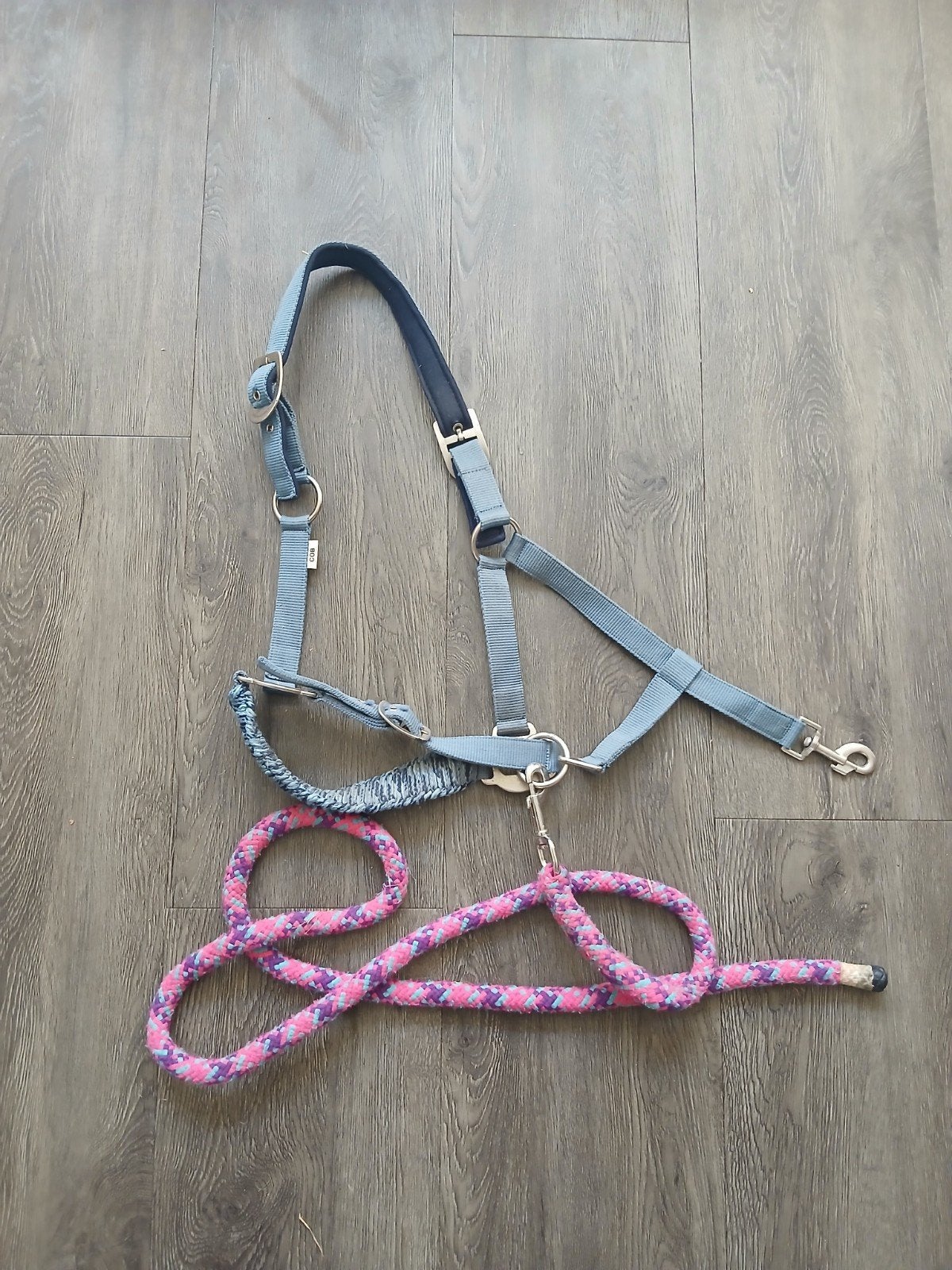 halster met touw, Ophalen of Verzenden, Halster, Cob