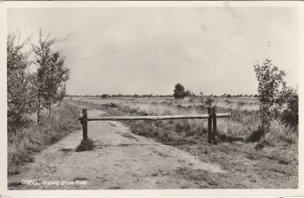 Ospel (L) - Ingang Grote Peel, ca. 1968., Ophalen of Verzenden, 1960 tot 1980, Gelopen, Limburg
