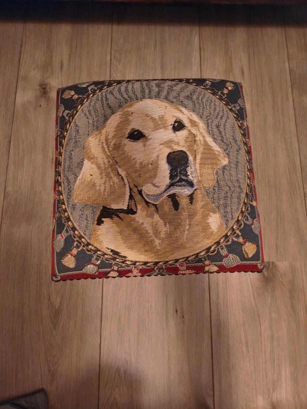 Voetenbankje met Golden Retriever afbeelding, Ophalen, Minder dan 50 cm, Gebruikt, Vierkant