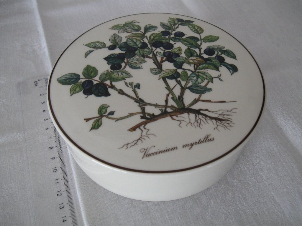 VILLEROY BOCH deksel groot doosje Botanica goede staat, Ophalen of Verzenden