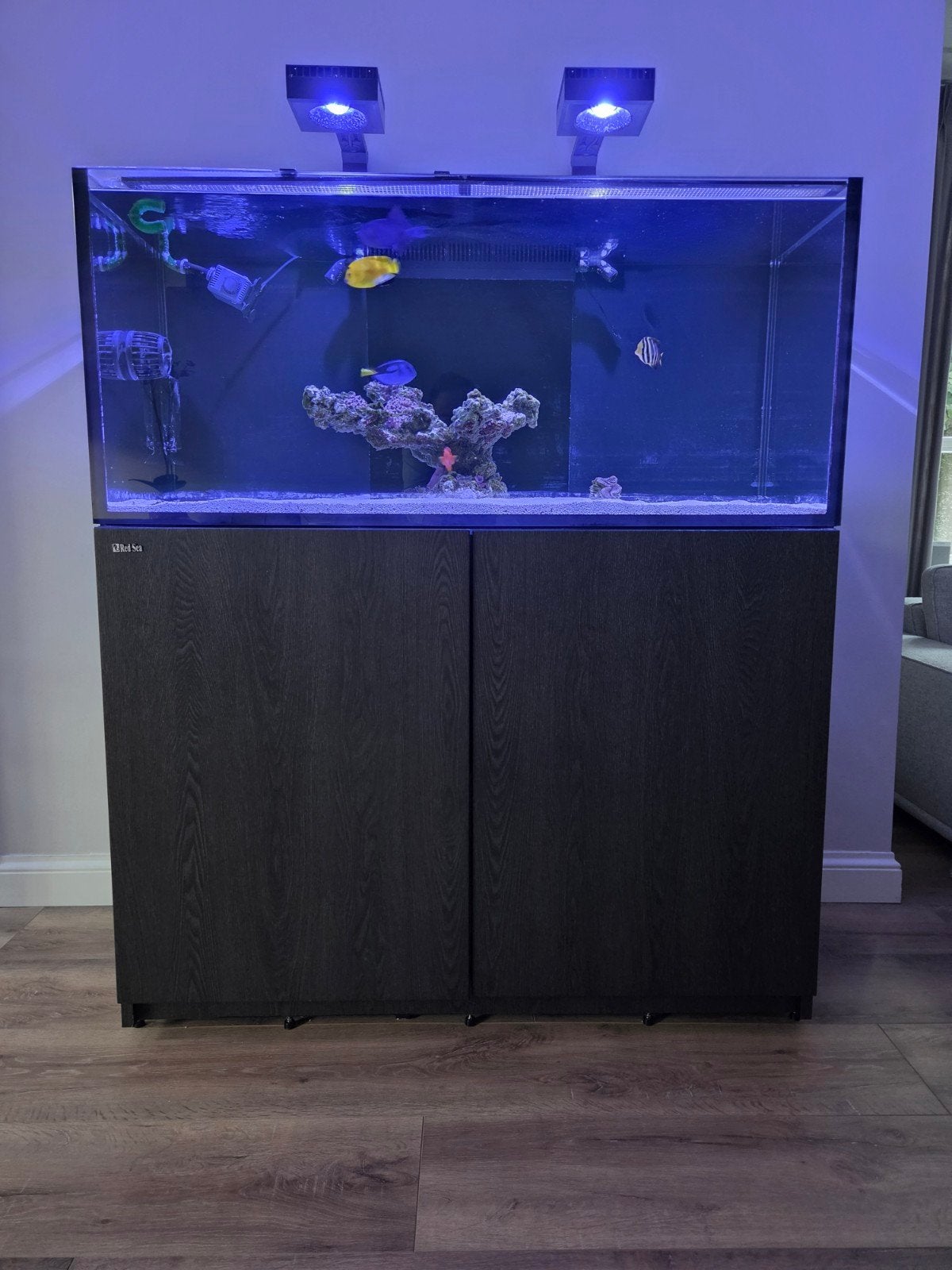 prachtige Red Sea Reefer 350 G2 aquarium compleet, Ophalen, Red Sea, Gevuld zeewateraquarium, Inclusief controller