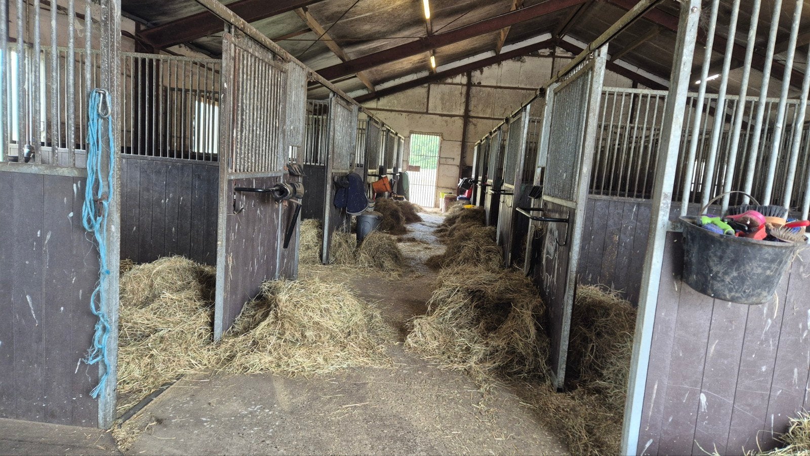 volpension stalling privé, Dieren en Toebehoren, Stalling, 2 of 3 paarden of pony's