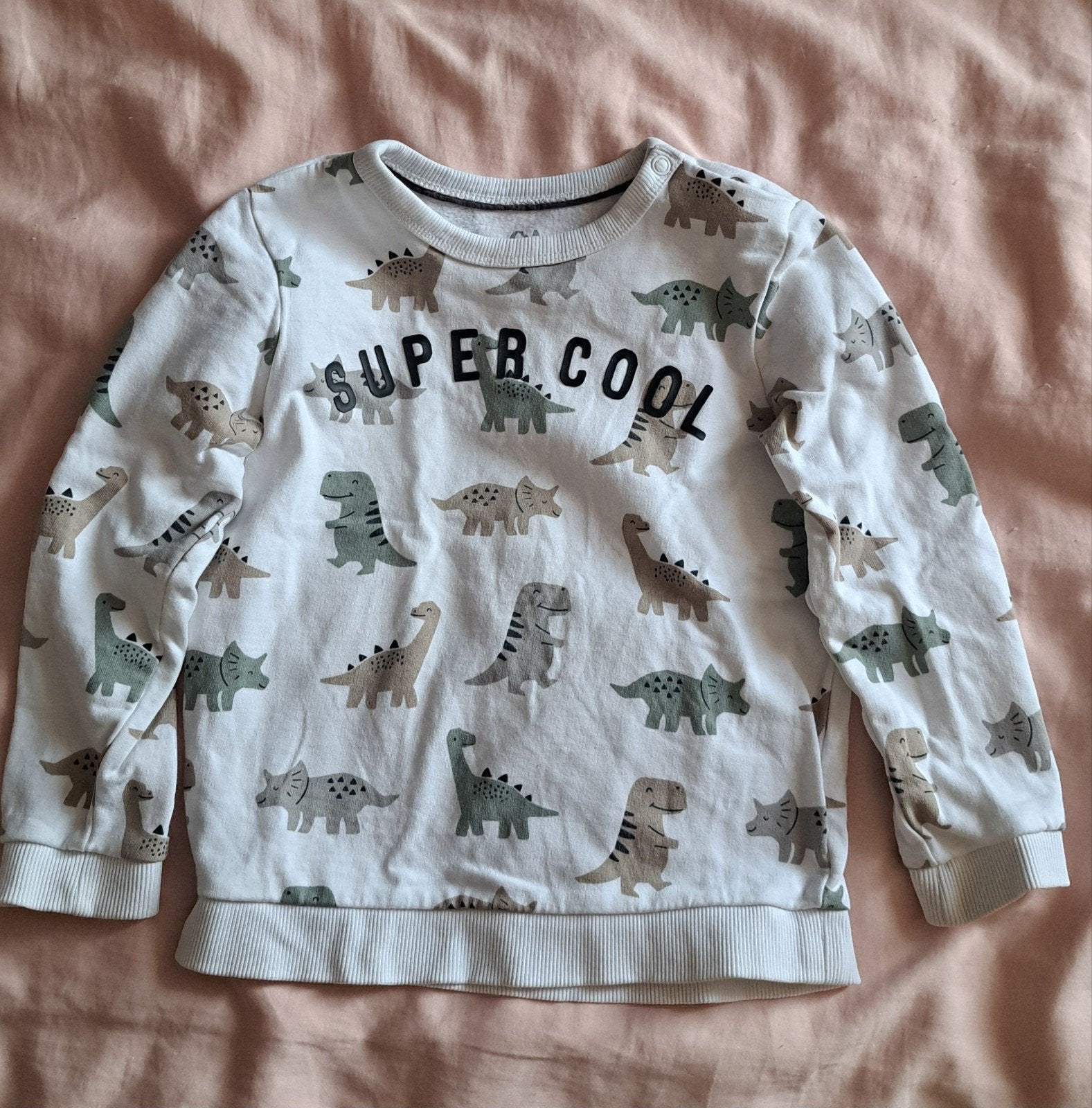 Leuke dino trui maat 104, Kinderen en Baby's, Kinderkleding | Maat 104, Ophalen of Verzenden, Zo goed als nieuw, Jongen, Trui of Vest