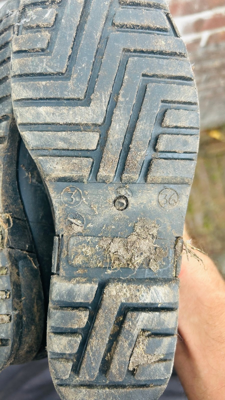 Dunlop regenlaarzen maat 36, Ophalen, Zwart, Regenlaarzen, Gedragen