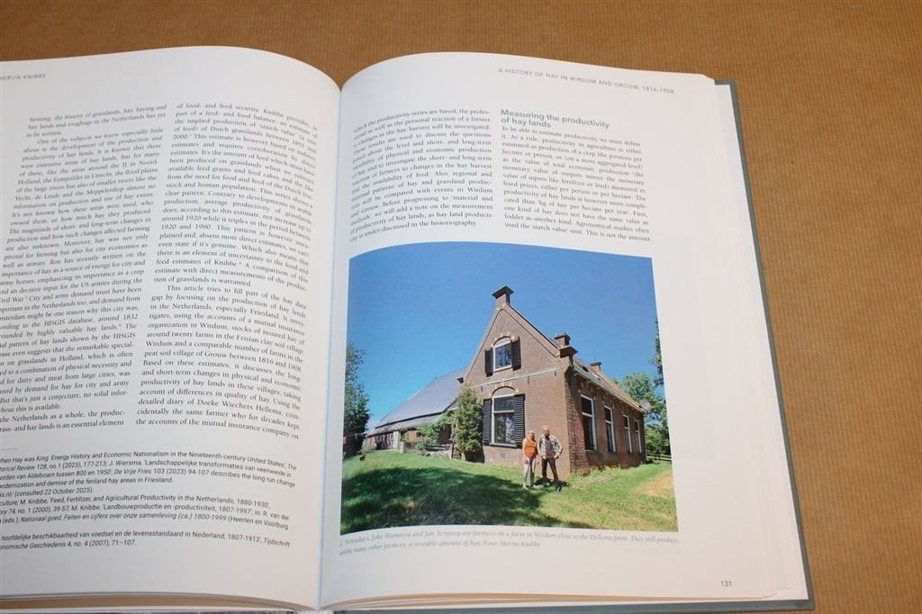 De Vrije Fries 105 — Friese Geschiedenis Jaarboek 2025, Boeken, Ophalen of Verzenden, Zo goed als nieuw
