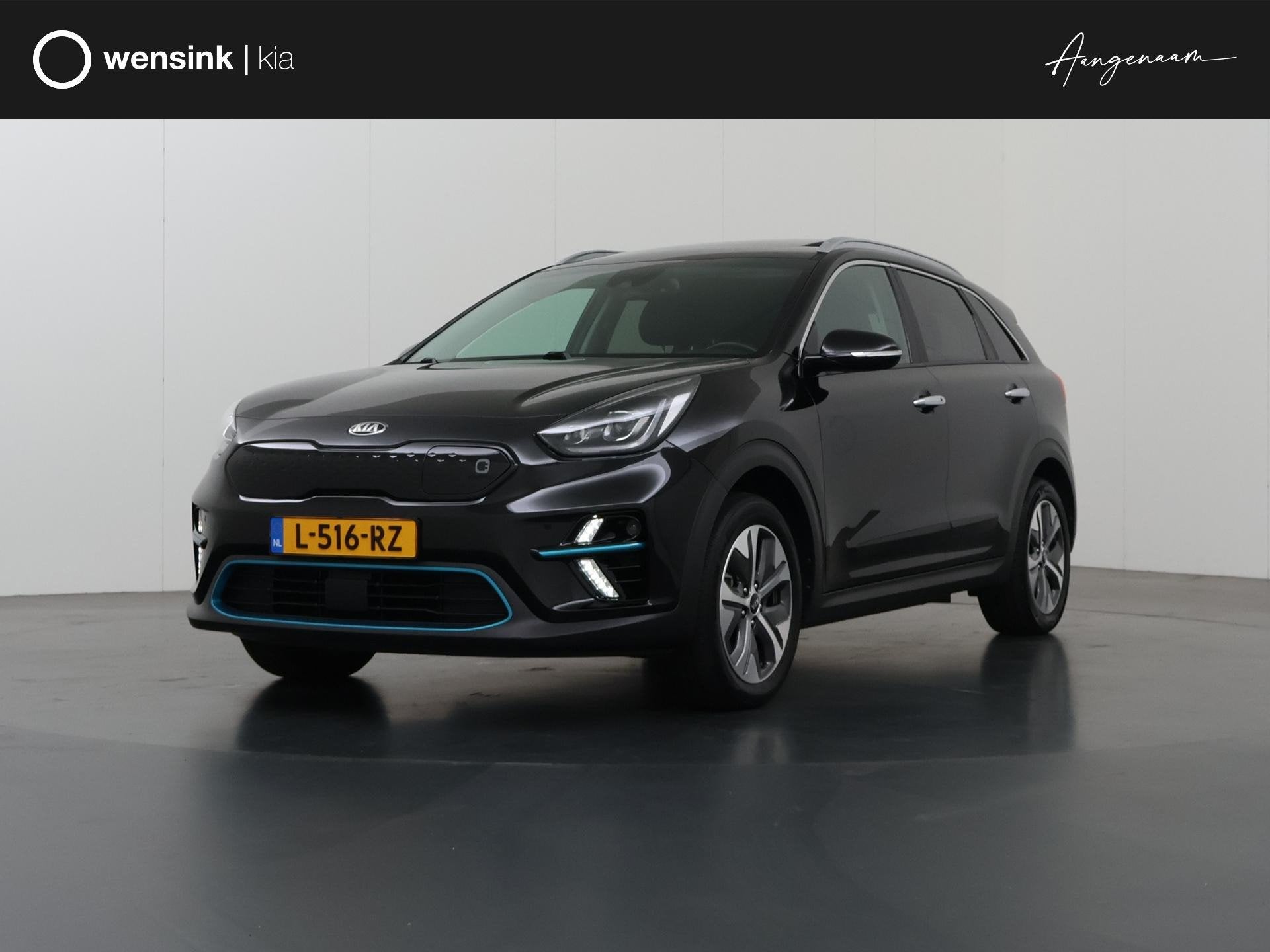 Kia e-Niro ExecutiveLine 64 kWh | Panoramadak | Lederen Bekl