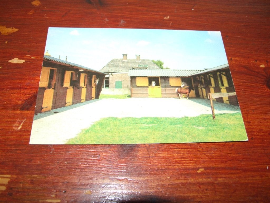 A201- Nationaal Rusthuis voor Paarden De Paardenkamp, Verzenden, 1960 tot 1980, Ongelopen, Paard