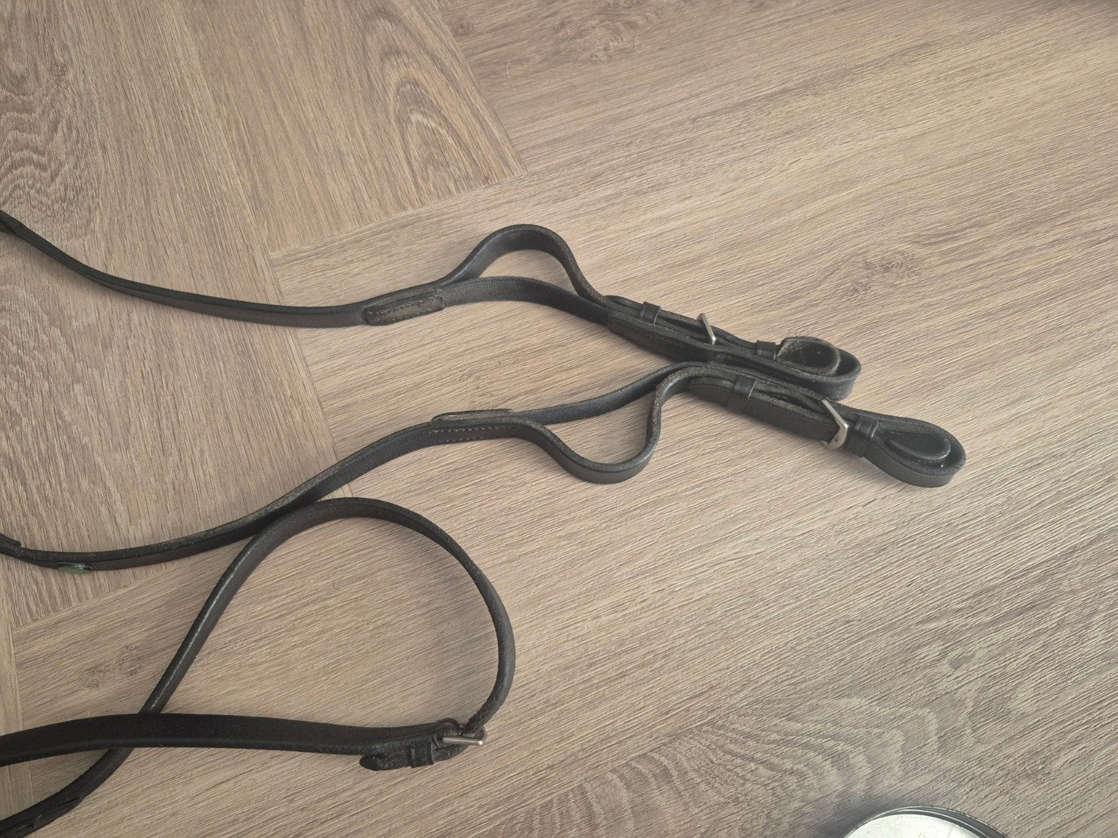 Le mieux, Carl hester, magneettherapie, Ophalen, Dressuur