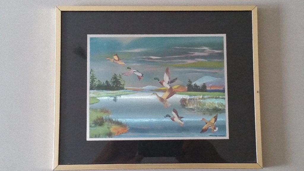 Fotolijst eenden, 30 cm, Achter glas, Zo goed als nieuw, Wandbord of Wandpaneel