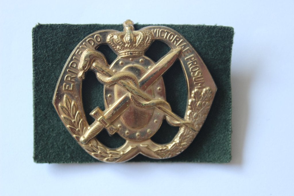 embl landmacht eripiendo victiae prosum geneeskundige dienst, Verzenden, Landmacht, Nederland, Embleem of Badge