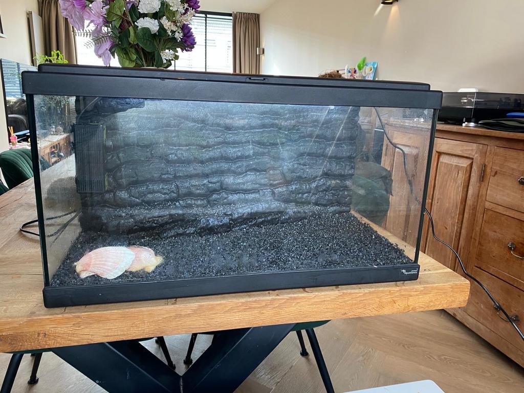Netjes Aquarium 60l, Ophalen, Zo goed als nieuw, Leeg aquarium