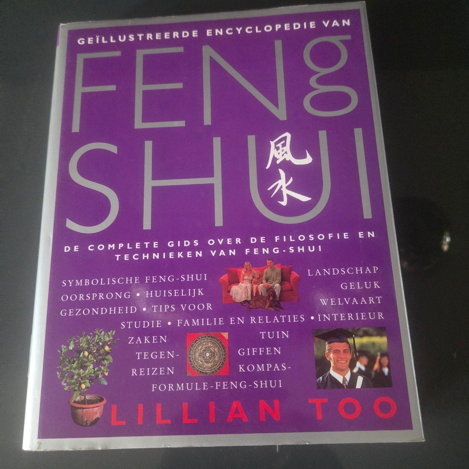 Geïllustreerde Encyclopedie van Feng Shui - Lillian Too, Ophalen of Verzenden
