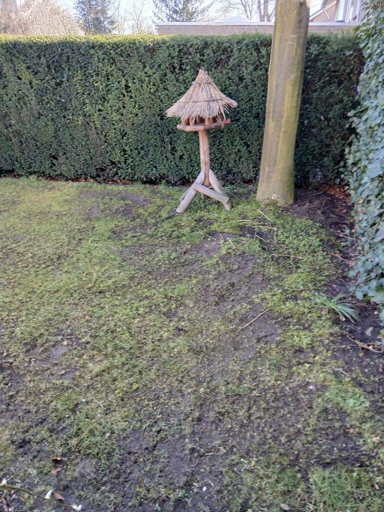 Vogelhuisje, staand, rieten dak te herstellen, Ophalen, Gebruikt