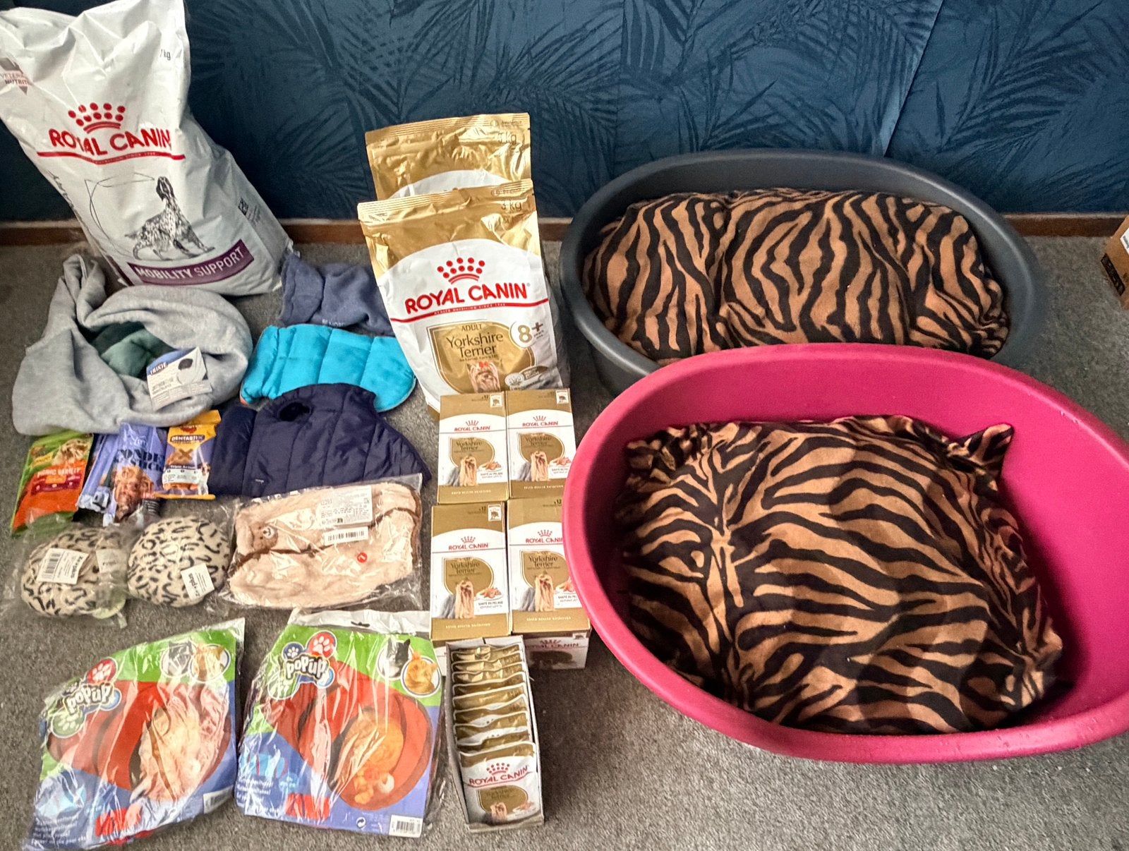 Hondenvoer Royal Canin en hondenbenodigdheden, Dieren en Toebehoren, Ophalen, Hond