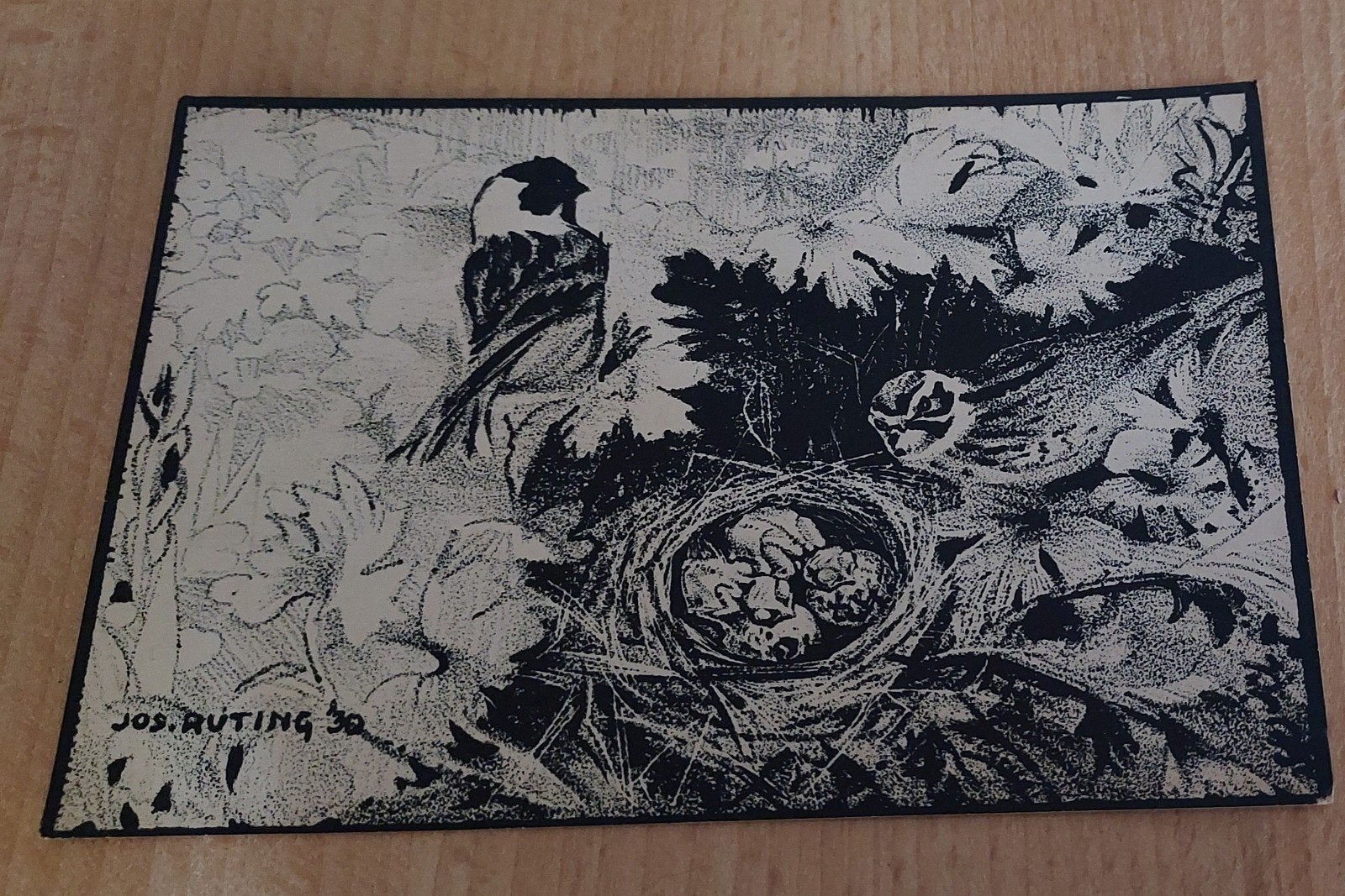 Antieke Natuurkaart Jos Ruting 1930 – Poststempel 1941 WOII-, Verzamelen, Ophalen of Verzenden, 1920 tot 1940, Gelopen, Noord-Holland