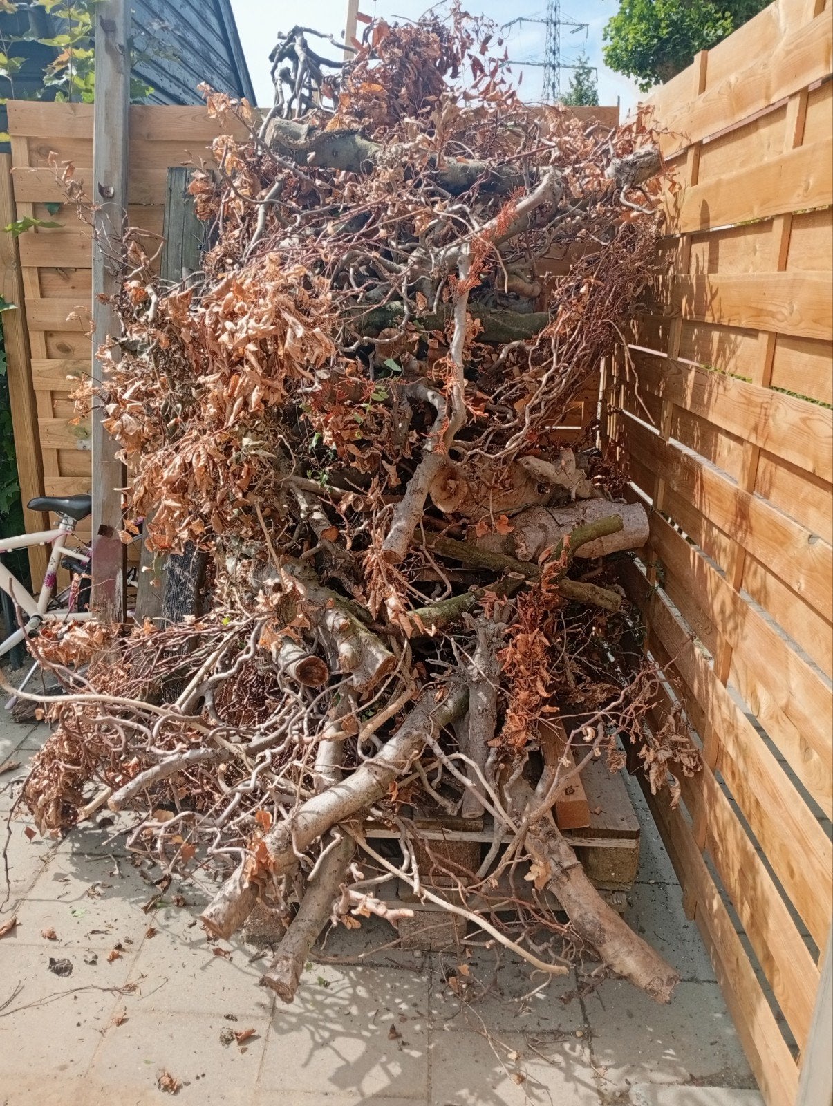 Beukenhout, 3 tot 6 m³, Ophalen, Beukenhout, Takken