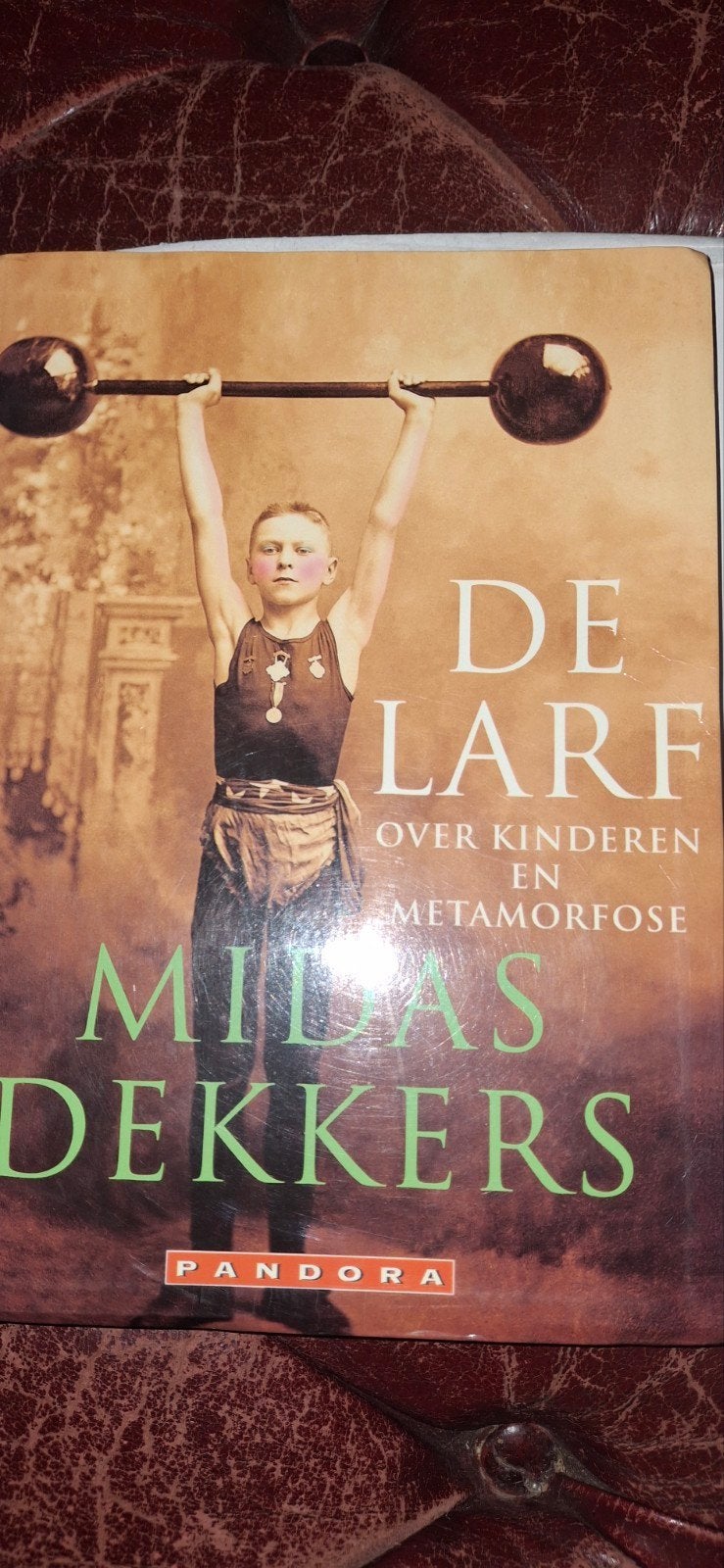 Midas Dekkers - De Larf: Over kinderen en metamorfose, Ophalen of Verzenden, Gelezen, Midas Dekkers, Nederland