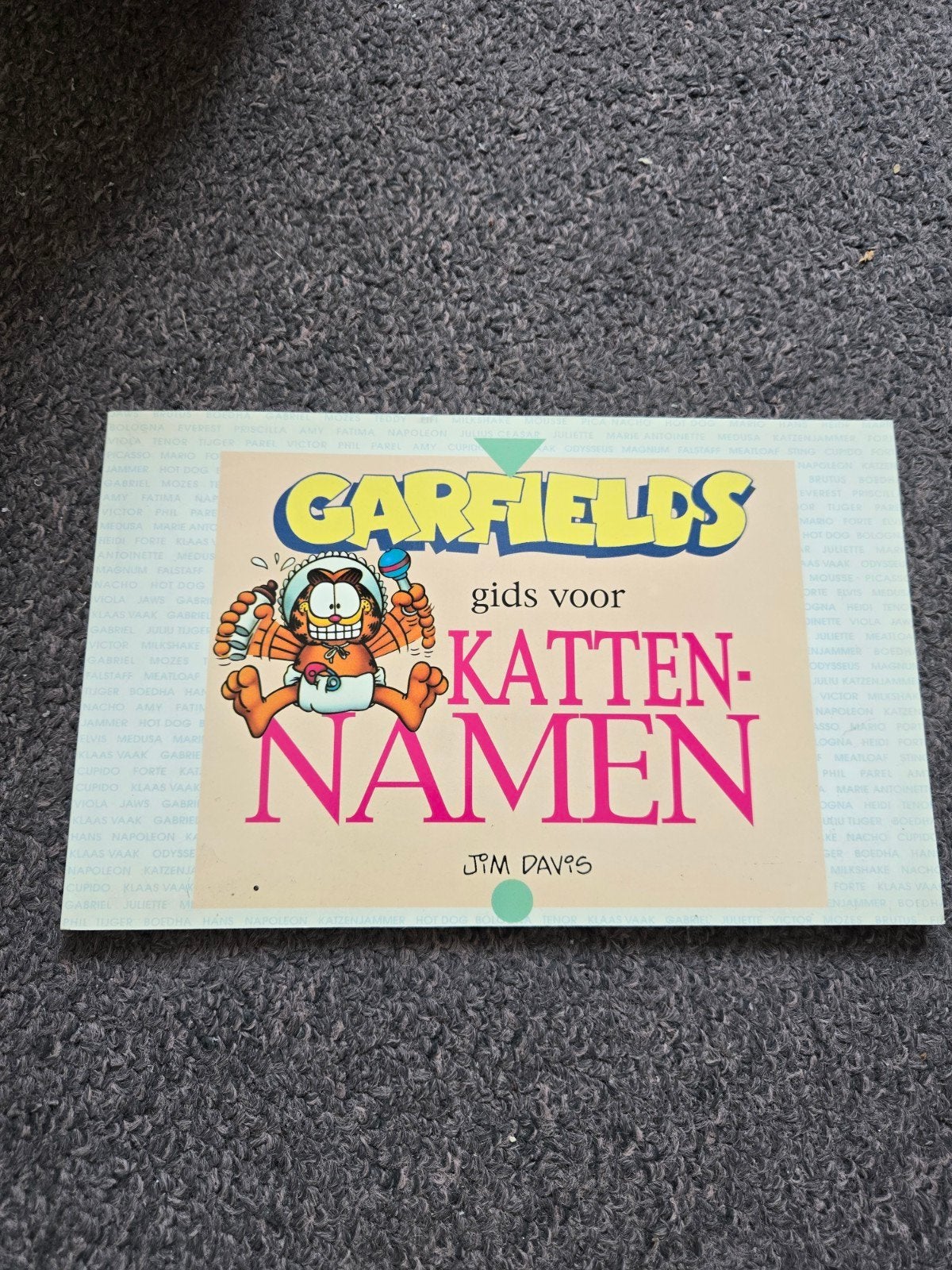 Zeldzaam Garfield boek: Gids voor Kattennamen - Jim Davis, Ophalen of Verzenden, Gelezen, Overige onderwerpen, Jim Davis