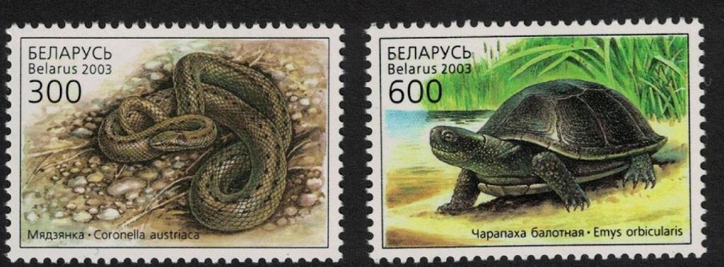 23-05 Wit Rusland MI 481/2 postfris, Verzenden, Postfris