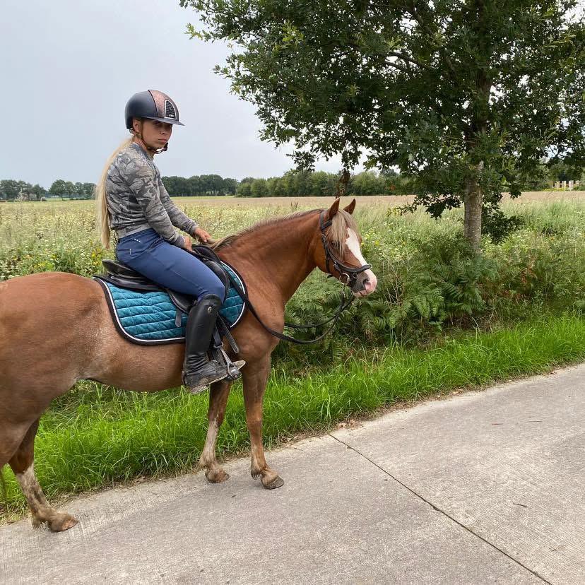 Wij hebben weer plek voor een pony zadelmak maken/doorrijden, Dieren en Toebehoren, Stalling en Weidegang, Weidegang
