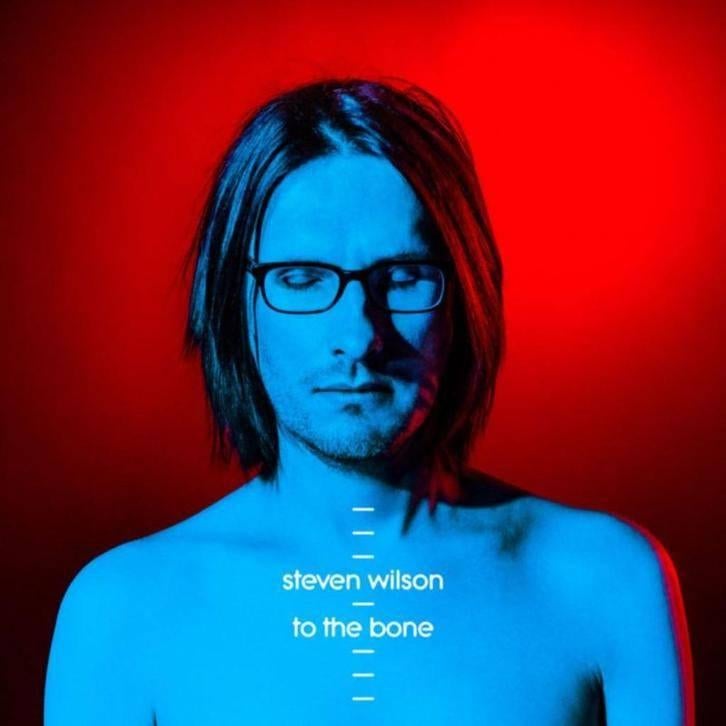 CD: Steven Wilson (Porcupine Tree) – To The Bone (ZGAN), Cd's en Dvd's, Cd's | Rock, Ophalen of Verzenden, Zo goed als nieuw, Poprock
