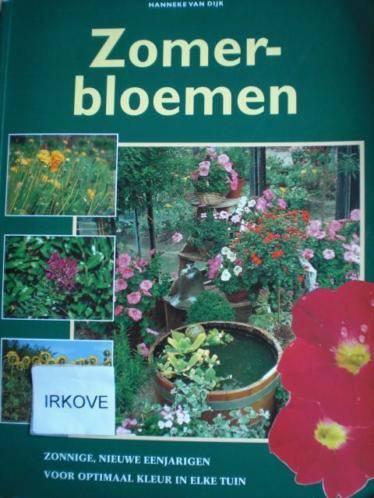 ZOMERBLOEMEN * Hanneke van Dijk *, Boeken, Verzenden, Zo goed als nieuw, Hanneke van Dijk, Tuinieren en Tuinplanten