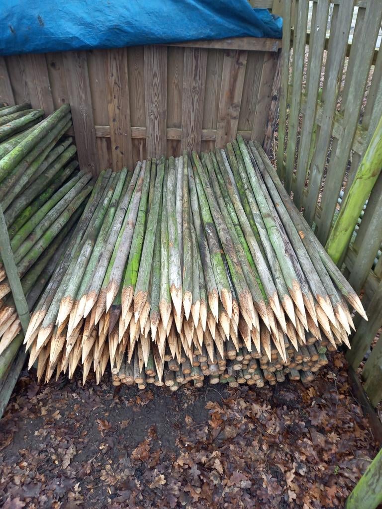 100 dunne gepunte paaltjes van 160cm, Tuin en Terras, Ophalen, Minder dan 180 cm, Palen