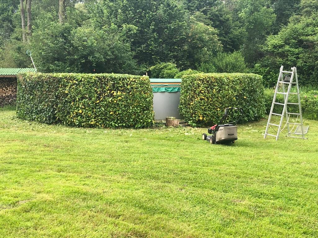 Tuinman aangeboden, Diensten en Vakmensen, Tuinmannen en Stratenmakers, Tuinonderhoud of Snoeiwerk