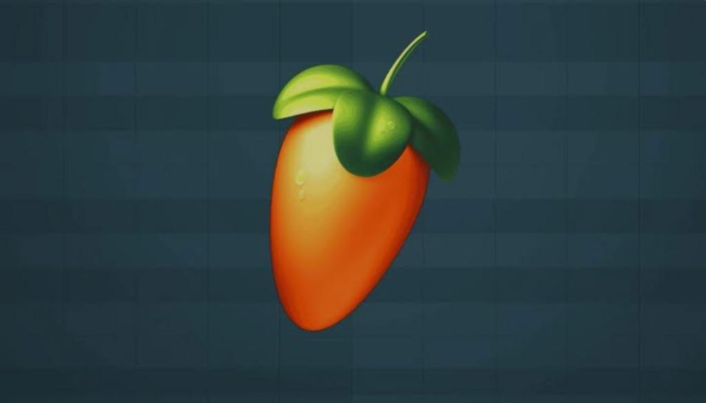 Fl studio privéles gezocht, Privéles, Bijles