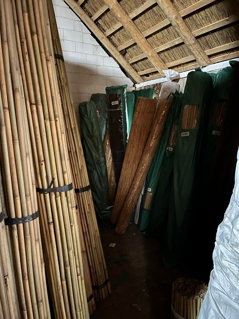 Bonenstokken bamboe Tonkin plantondersteunig lindeboomgeleid, Tuin en Terras, Ophalen of Verzenden, Nieuw, Overige typen