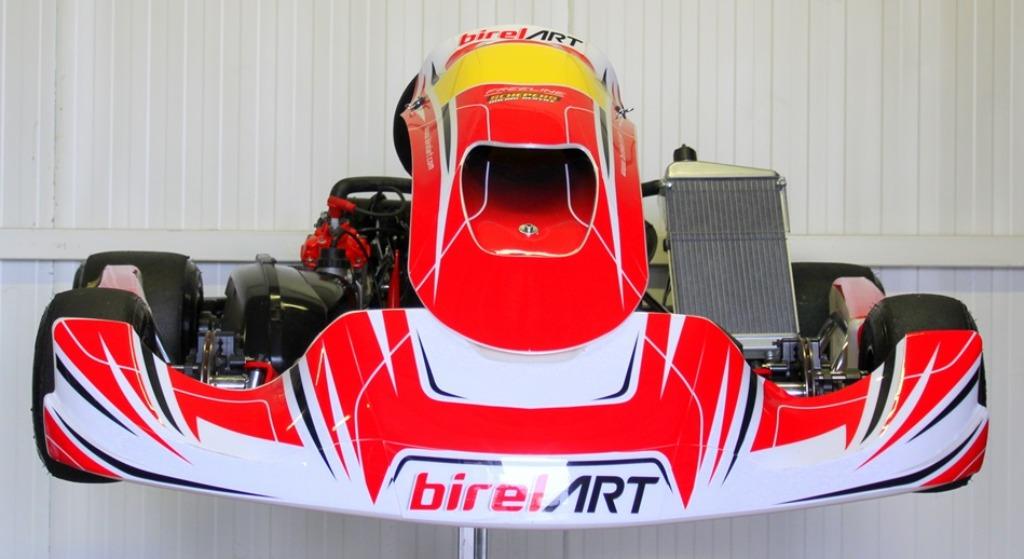 Birel Kart met Rotax DD2 Motor, Sport en Fitness, Karting, Ophalen, Zo goed als nieuw, Kart
