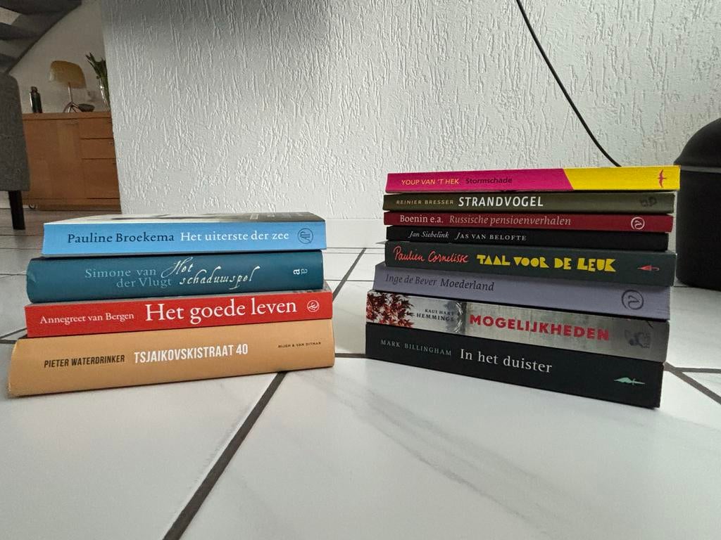 Boekenpakket Diverse Auteurs, Boeken, Romans, Gelezen, Nederland, Ophalen of Verzenden
