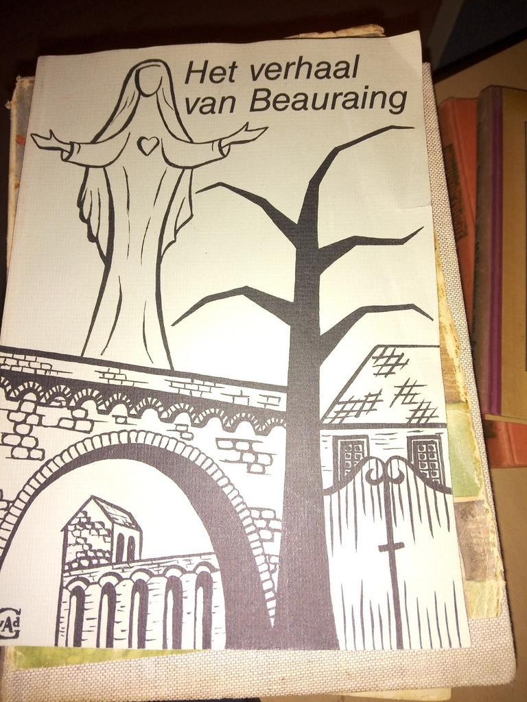 Het verhaal van Beauraing - Religieus boek, Verzenden