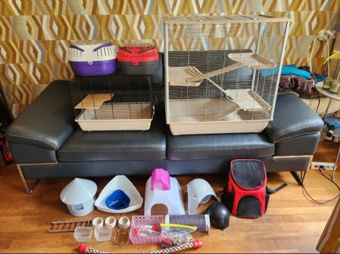 Rattenkooi met heel veel extra spullen erbij, Gebruikt, 75 tot 110 cm, Ophalen, Minder dan 60 cm