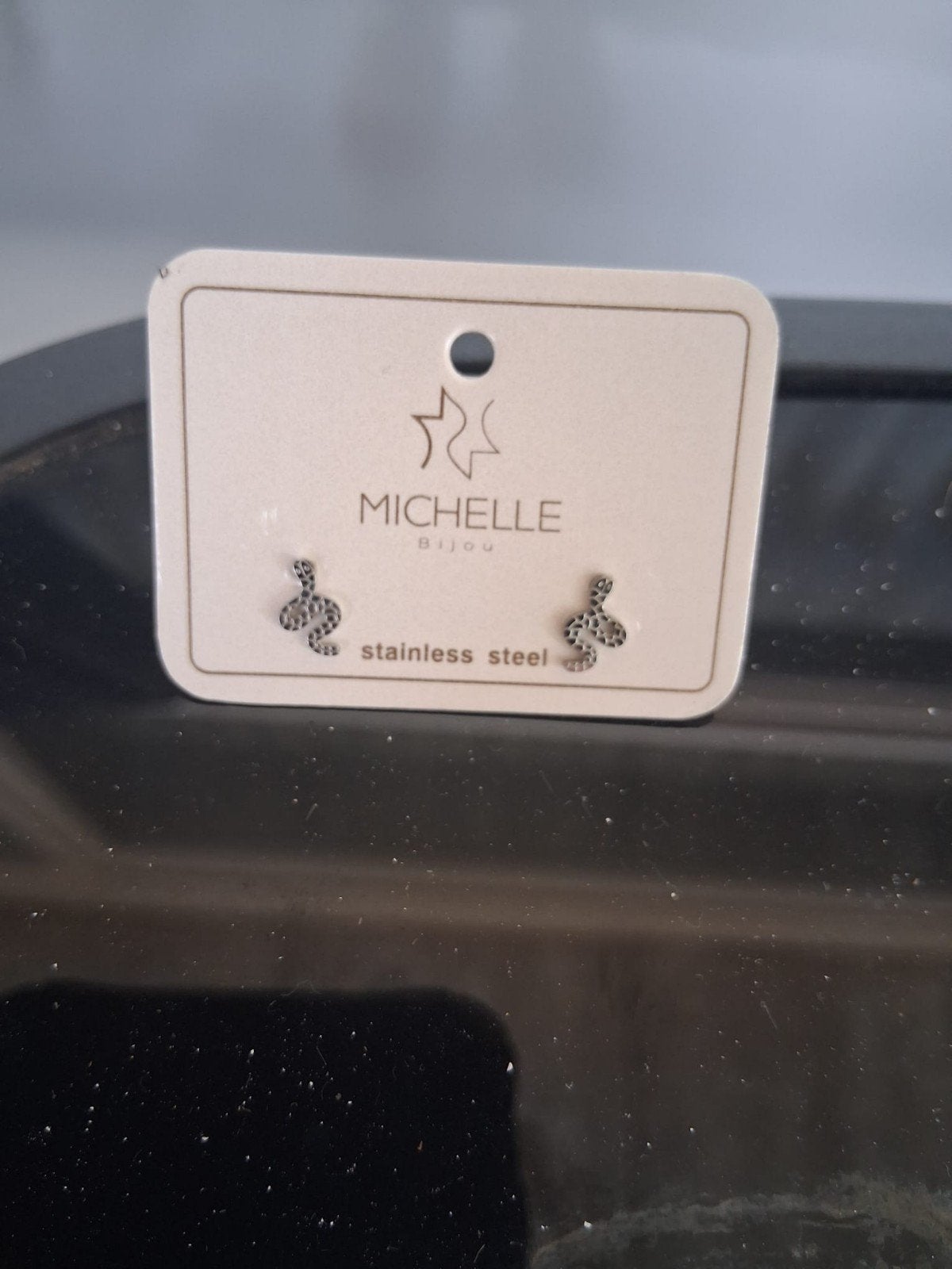 Michelle Bijou RVS Oorbellen Slangetjes, Ophalen of Verzenden