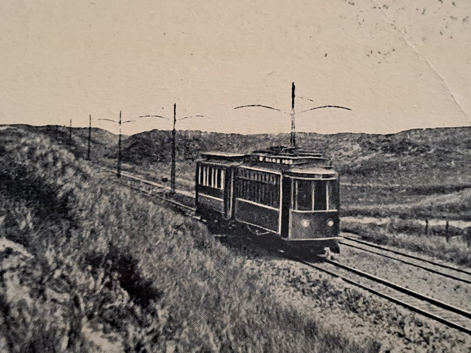Zandvoort gelopen tulpkaart, Ophalen of Verzenden