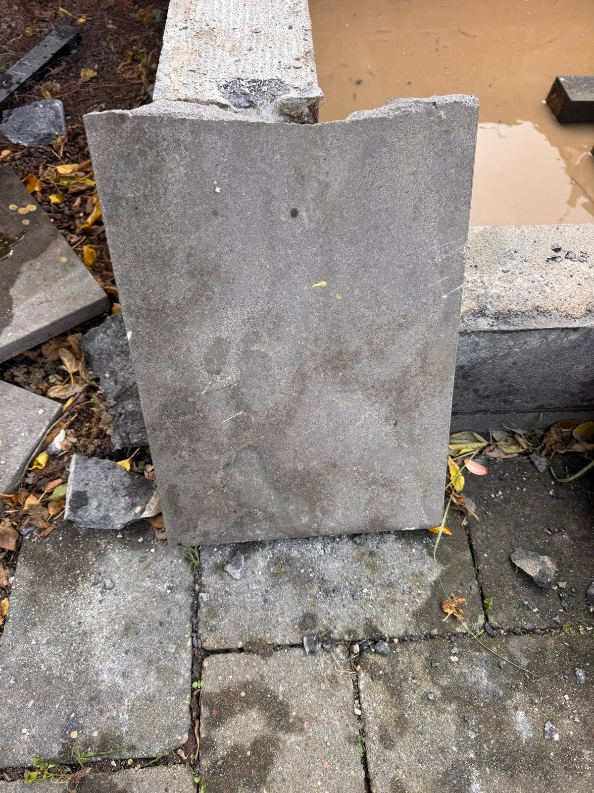Vijverrand grijs 450x30x3 cm, Ophalen, Gebruikt