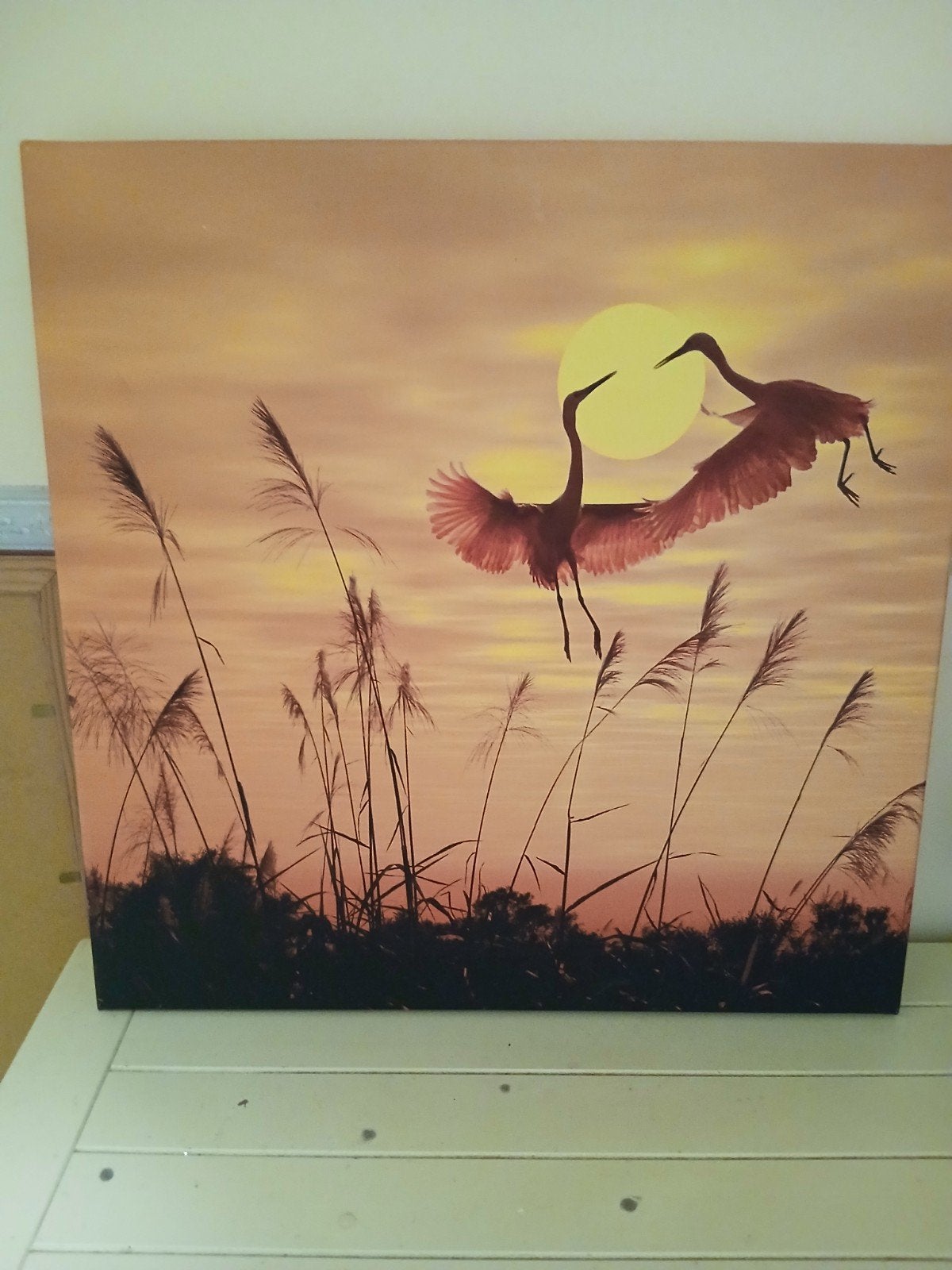 Diverse schilderijen/canvas doeken, Ophalen, 50 tot 75 cm, Schilderij