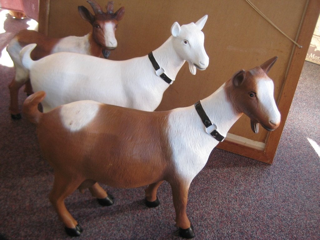 nieuwe beelden geiten en bokjes van polystone, Ophalen, Nieuw, Kunststof, Dierenbeeld