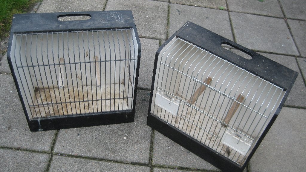 VOGELKOOITJES, Ophalen, Gebruikt, Hout, Vogelkooi